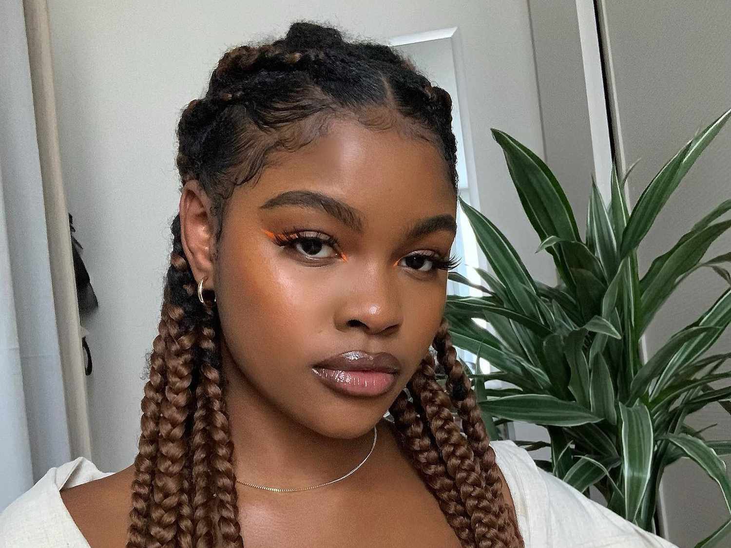 15 Box Braid Hairstyle Ideas to Switch Up Your Look