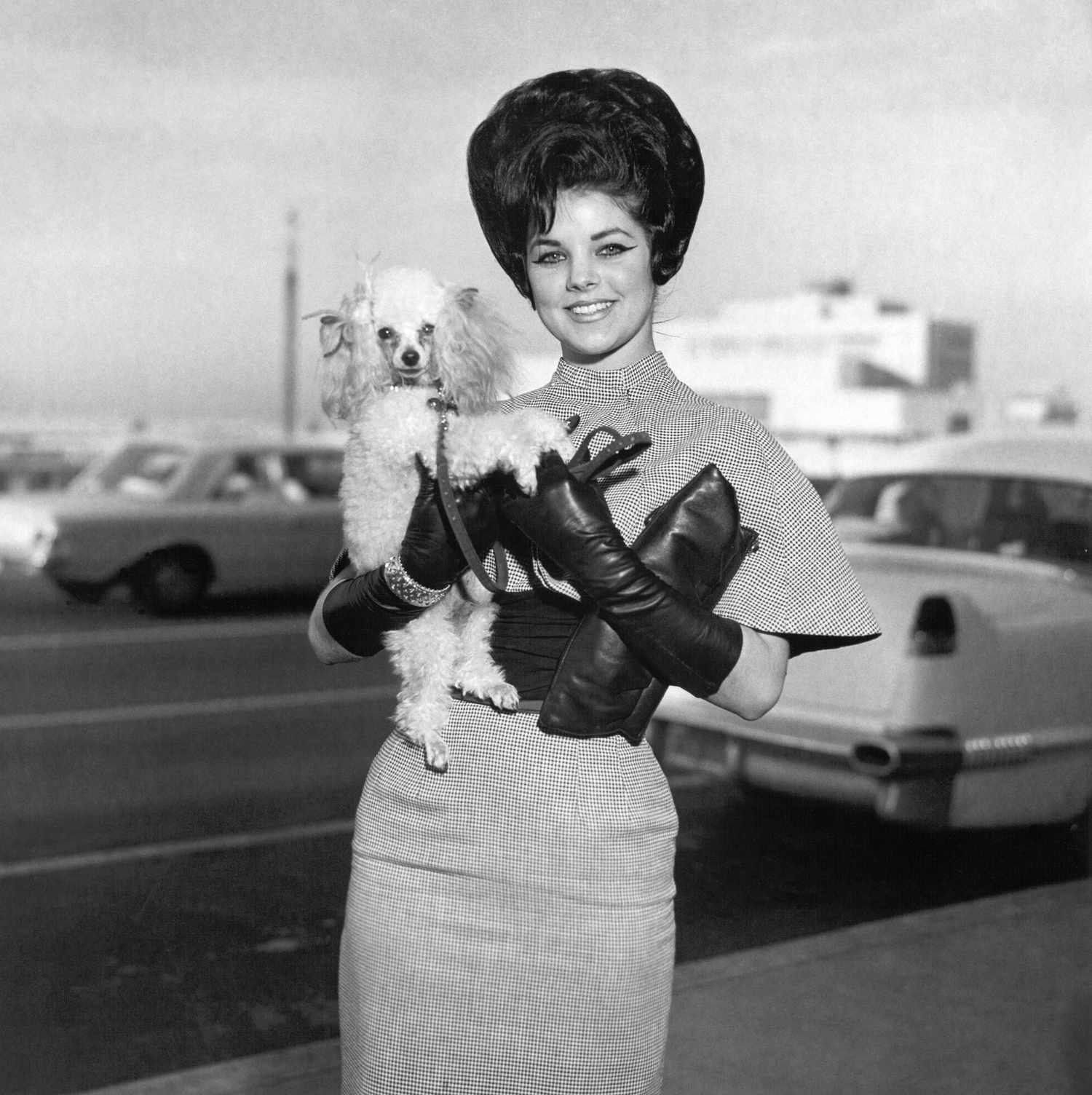  Priscilla Presley in the '60s